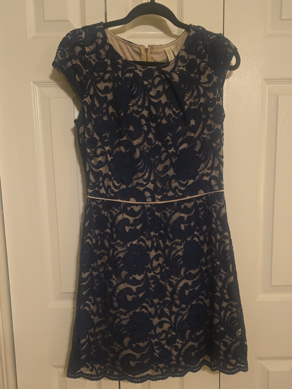Pink Owl Navy Lace Dress with Nude Lining and Cap Sleeves
